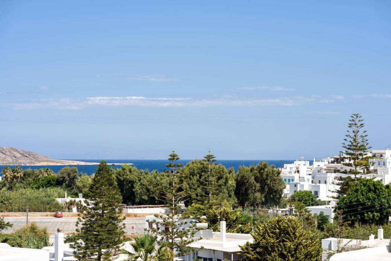 Hara'S Villa In Naousa , Paros エクステリア 写真