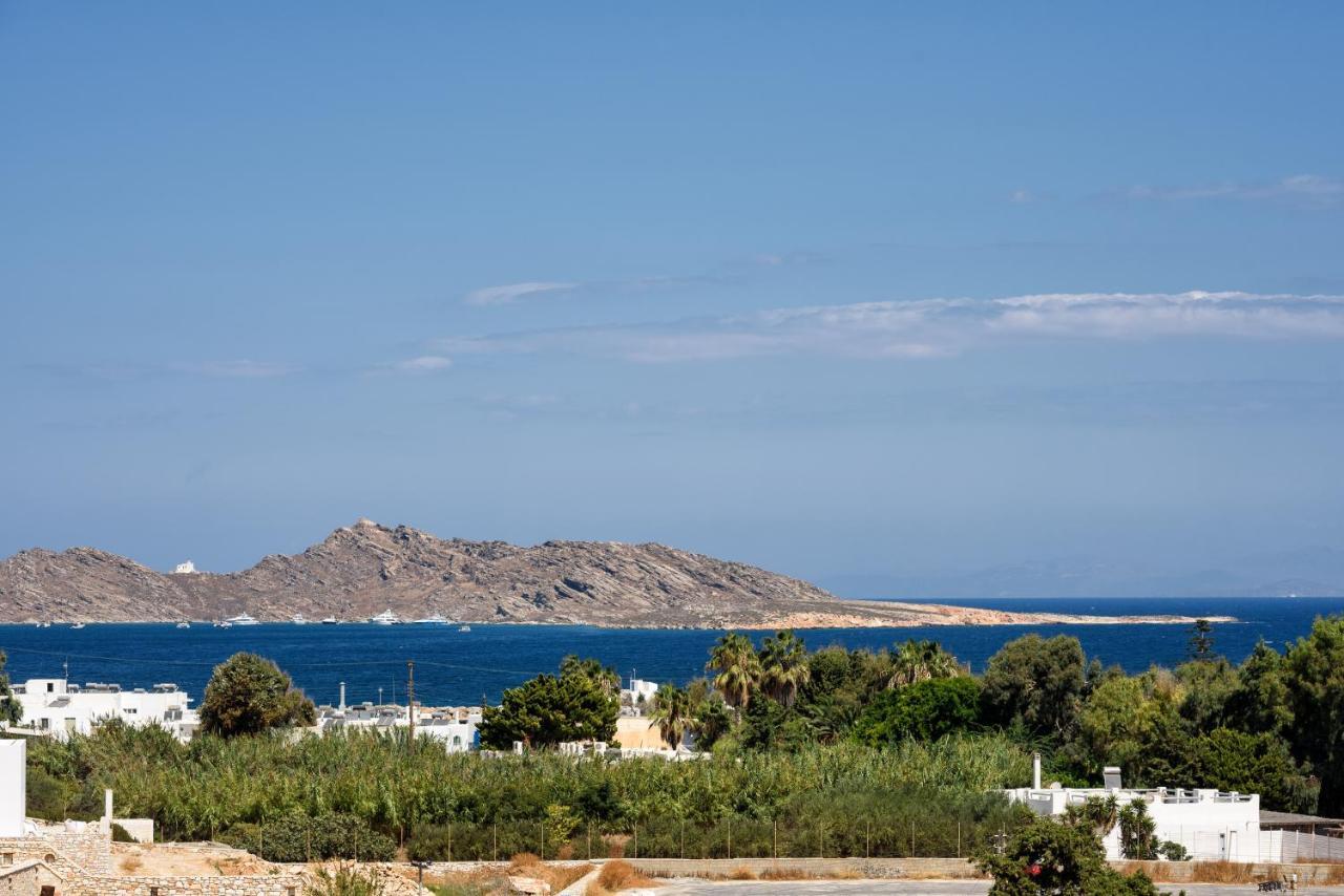 Hara'S Villa In Naousa , Paros エクステリア 写真